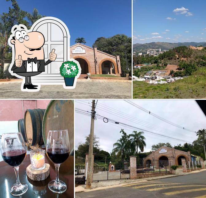 Vinícola Carmela