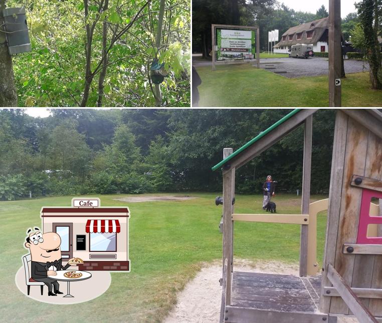 Jetez un coup d’œil à quoi ressemble Boscamping Appelscha à l'extérieur