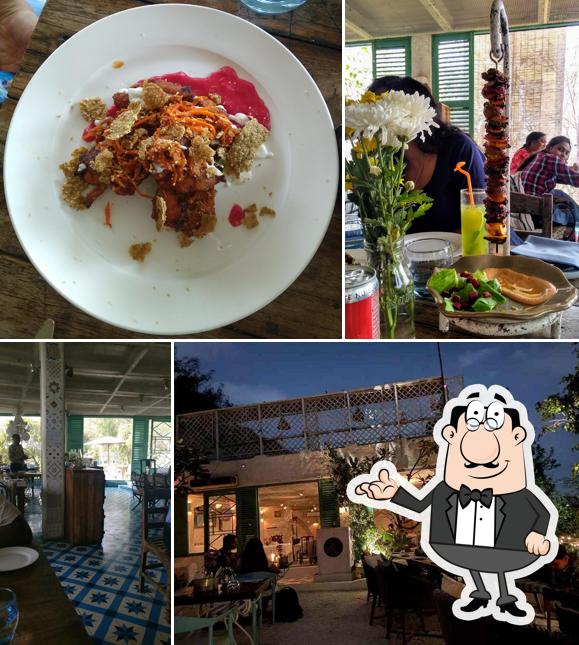 Check out how Olive Bistro & Bar looks inside