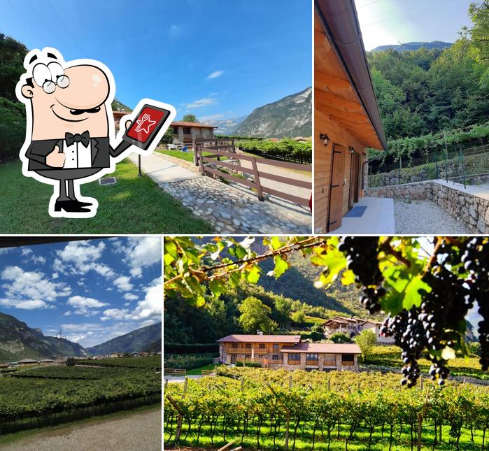 Agriturismo La Caigola di Federica Cappelletti