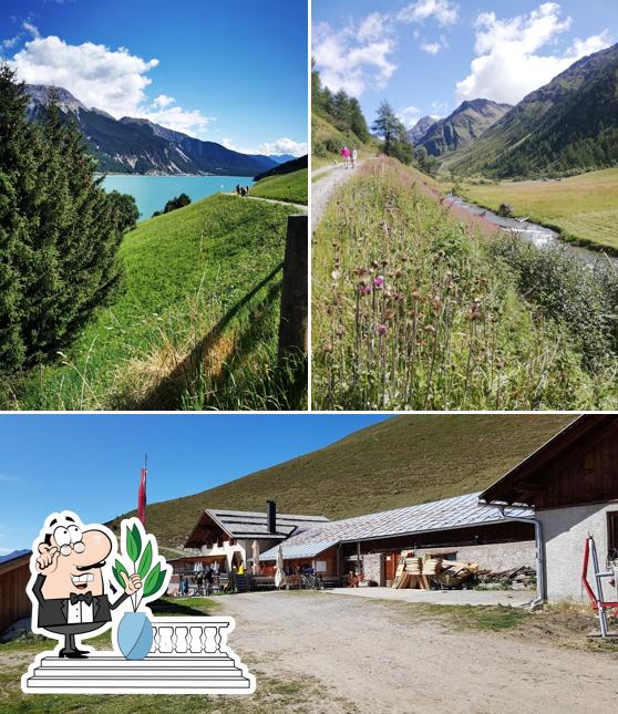 Guarda gli esterni di Planeiler Alm/Furgles Alm