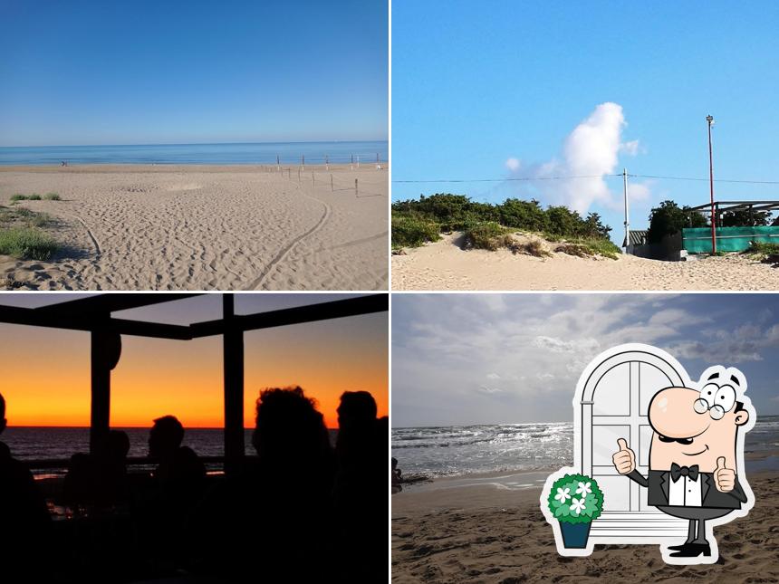 Stabilimento Balneare Ranocchio