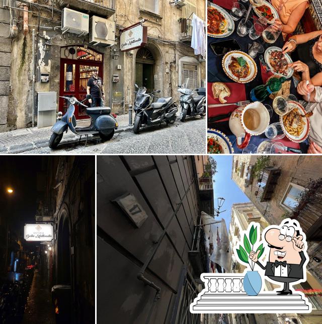 Guarda gli esterni di Osteria Della Mattonella