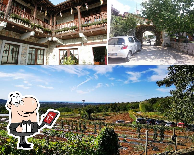 Curiosa tra l'area esterna di Agriturismo Milič Zagrski