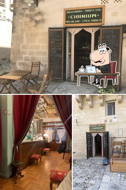 Dai un'occhiata agli interni di Cibinium