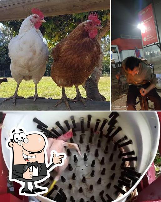 حلال Chicken Store (चिकॉन स्टोर)