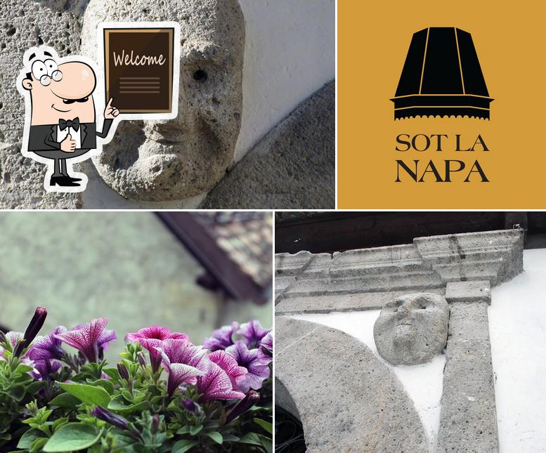 Vedi la immagine di Agriturismo Sot La Napa