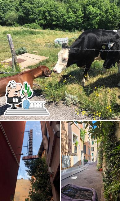 Gli esterni di Ristorante Greppia