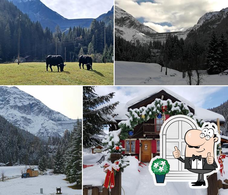 Auberge - Restaurant - Camping du Val-des-Dix