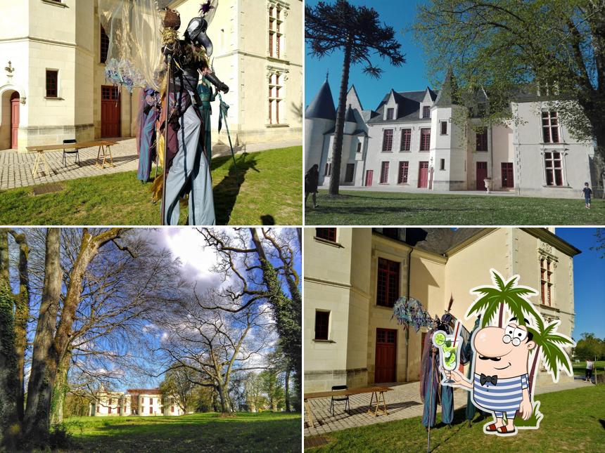Médiathèque de Saint-Avertin