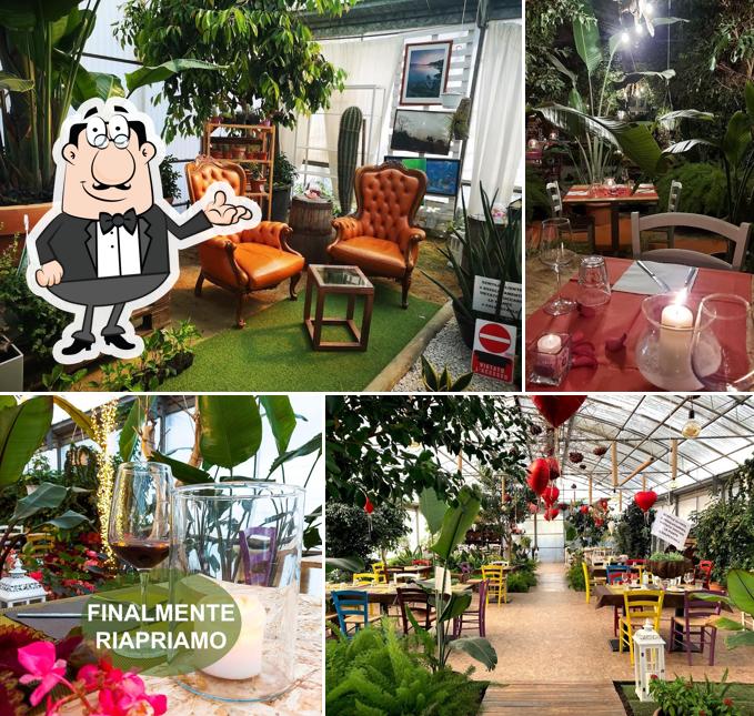 Floema Serra Bistrot