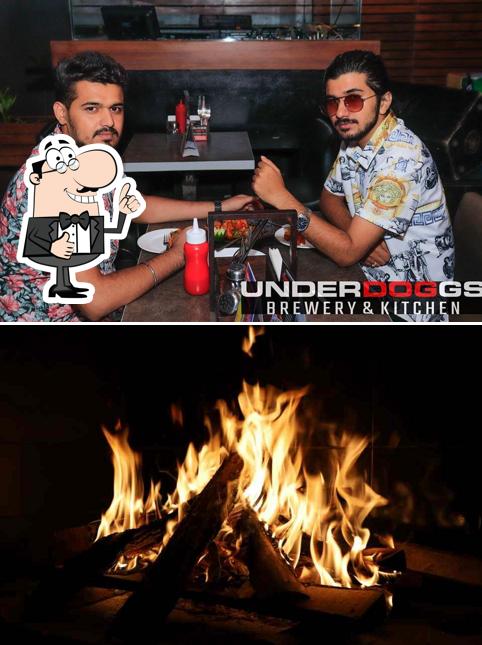 Look at this pic of Underdoggs Brewery & Kitchen