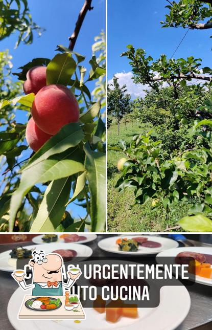 Cibo al Agriturismo Dai Colombari