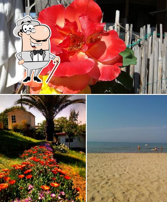 Gli esterni di Lido La Peonia