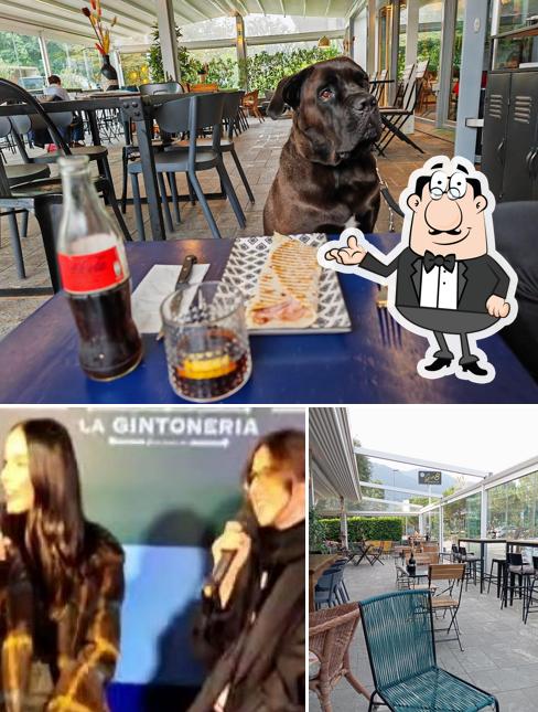 Dai un'occhiata agli interni di Gin8 La Gintoneria & Bar