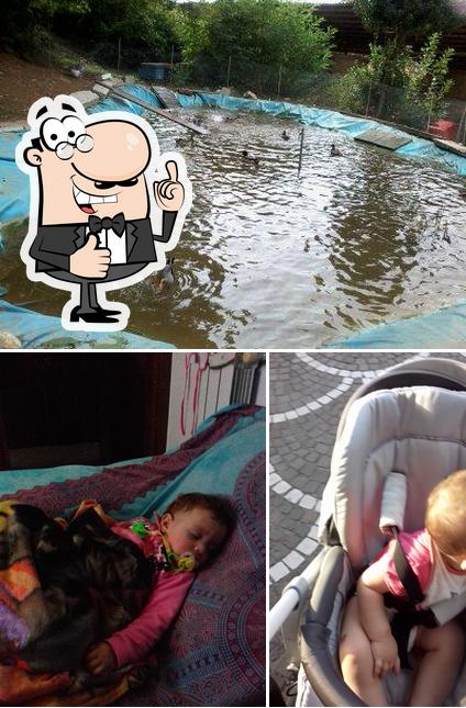 Panificio Spreafico Snc di Spreafico Pietro e Paolo