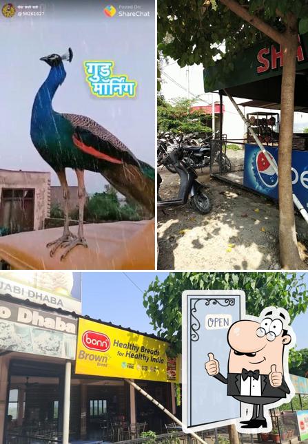 Shambu Punjabi Vaishno Dhaba photo