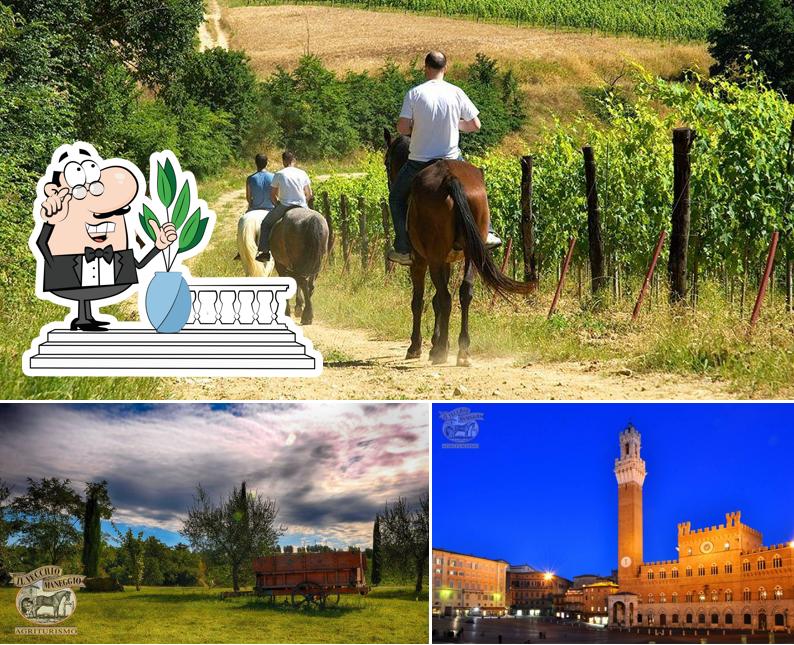 Gli esterni di Agriturismo Il Vecchio Maneggio Restaurant