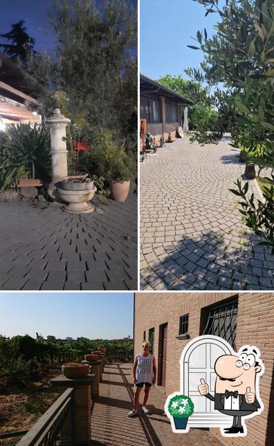 Curiosa tra l'area esterna di Agriturismo Pellini
