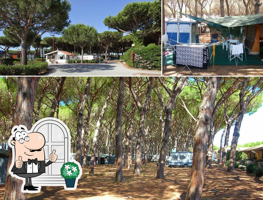 Gli esterni di Camping Village Marina Chiara