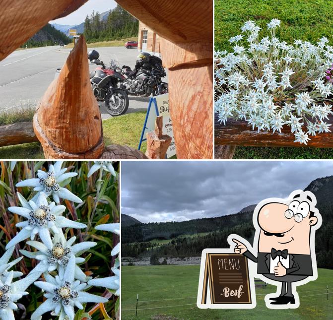 Berggasthaus Buffalora