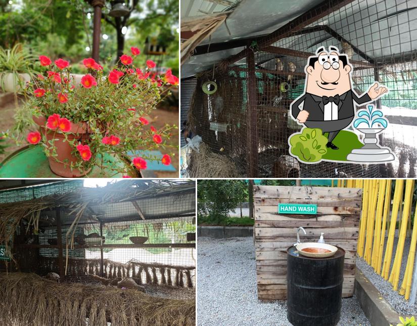 Green Aroma Restaurant