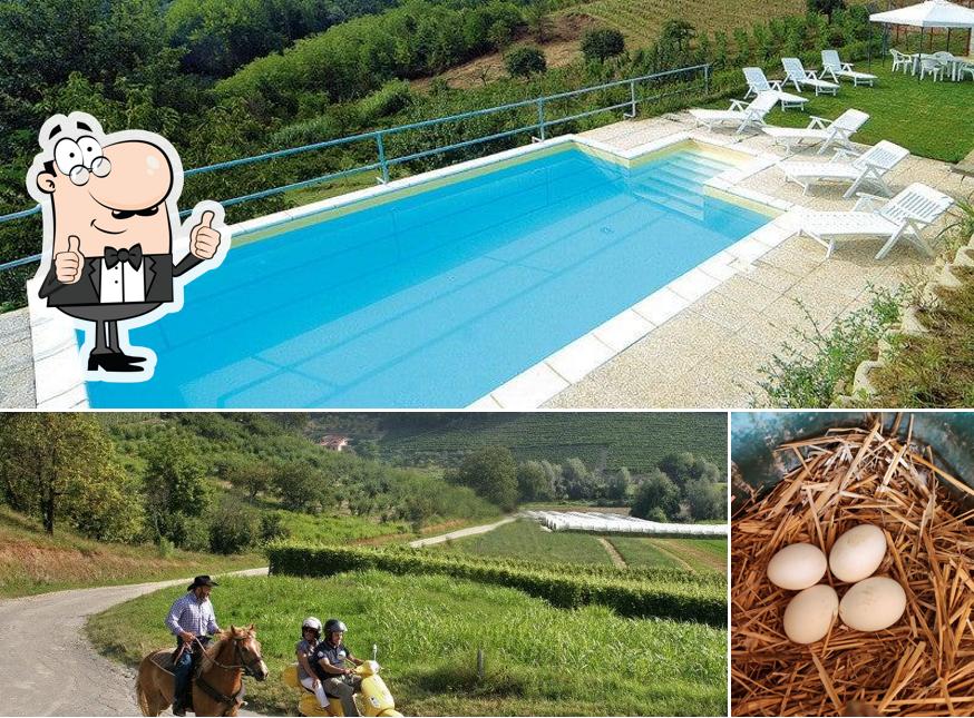 Guarda questa foto di Agriturismo Cascina Vrona