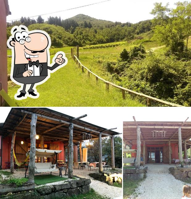 Guarda gli esterni di Acero Campestre 110S