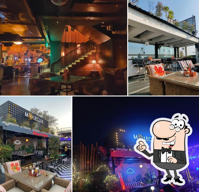 Check out how Molecule Delhi looks outside
