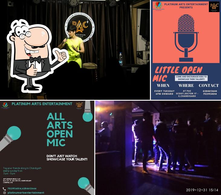 PLATINUM ARTS ENTERTAINMENT