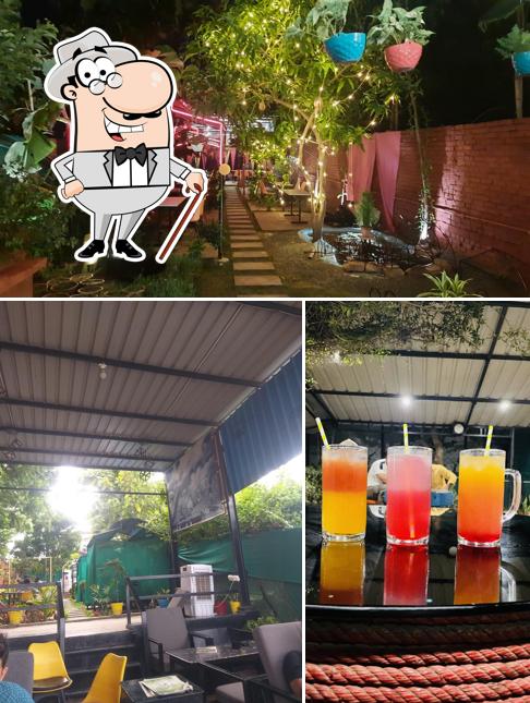 Among various things one can find exterior and food at Basil Leaf Restro and Juice Bar