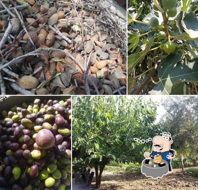כוורת הבוסתן פקיעין