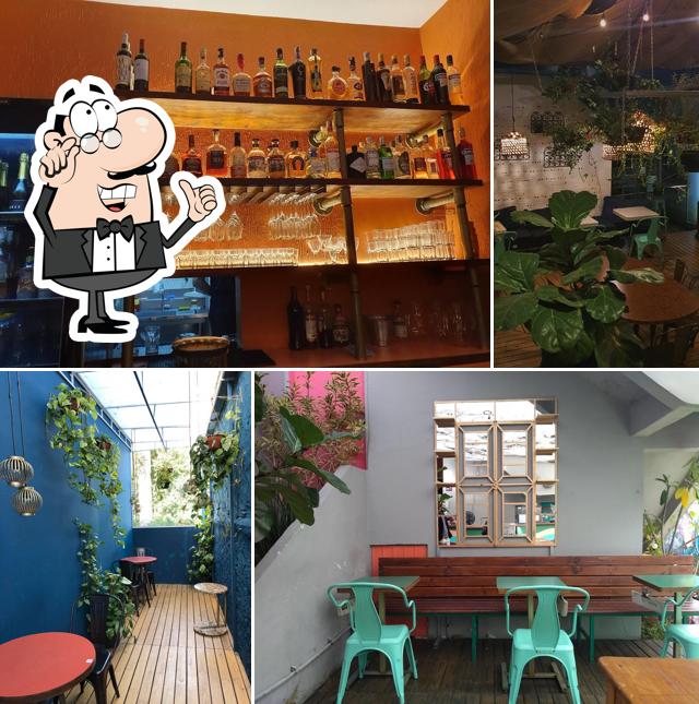 Veja imagens do interior do Negrita Café Bar - Botanique Oásis
