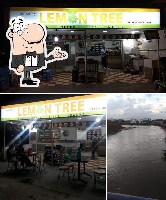 Lemon Tree tea shop is distinguished by interior and exterior