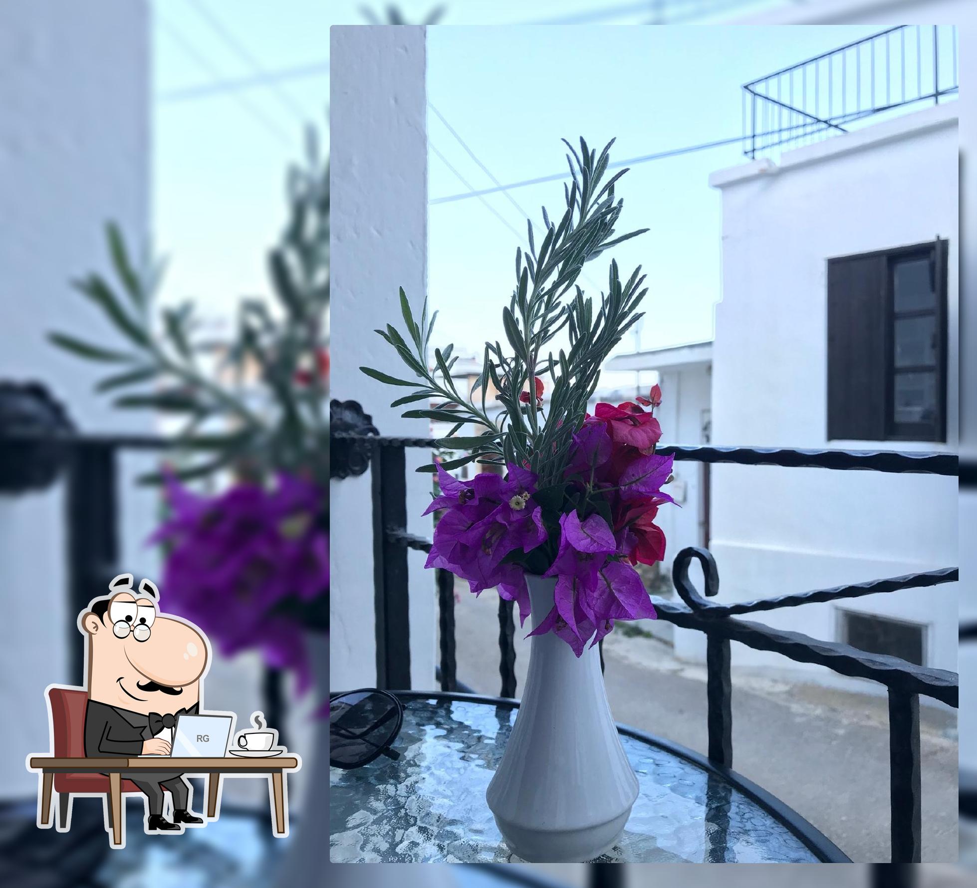 The Levant Restaurant