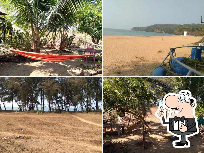 Here's a pic of Cosey Beachhuts, Galgibaga, Canacona, India