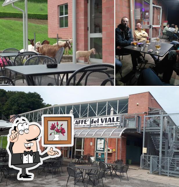 La foto della interni e cibo di Caffè del viale