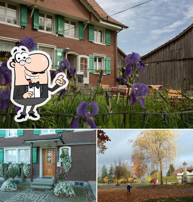 Goditi la vista dall'area esterna di Restaurant Weinberg