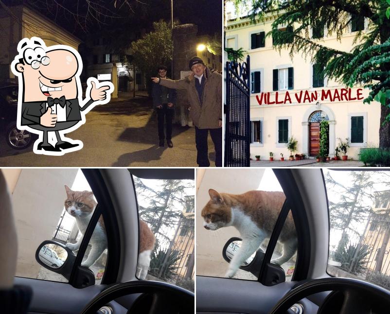 Ecco una foto di Centro Socio Culturale San Marco • Villa Van Marle