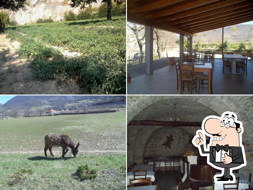 Vedi questa immagine di Agriturismo Molino della Contessa