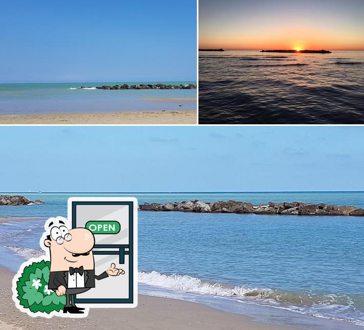Curiosa tra l'area esterna di Bagno Marino