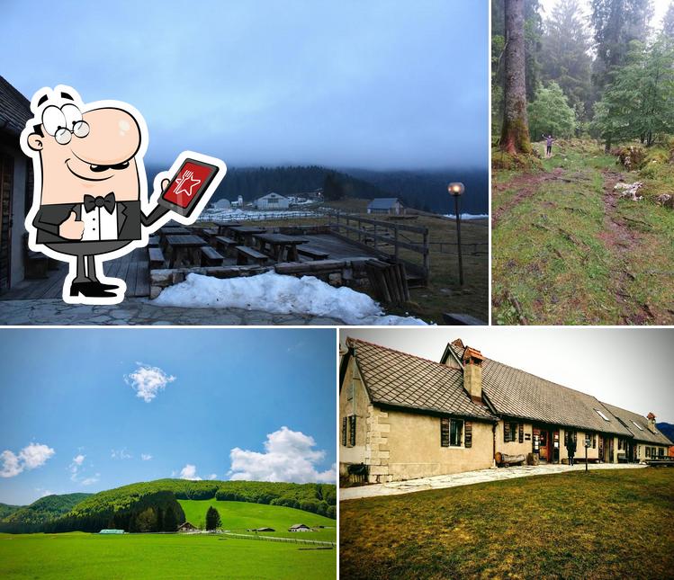 Gli esterni di Centro Caseario e Agrituristico Tambre Spert Cansiglio - Bar Bianco