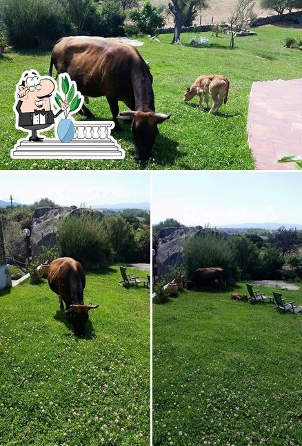 Guarda gli esterni di La Rocca Events