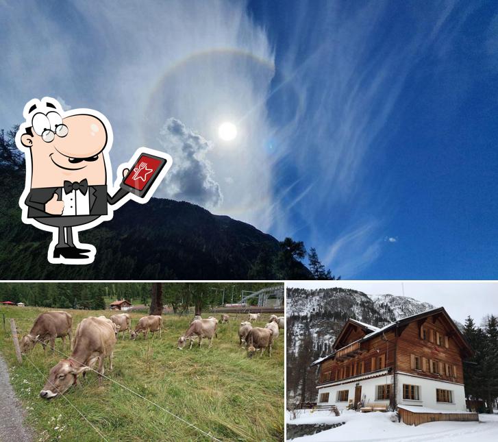 Guarda gli esterni di Chesa Spinas AG