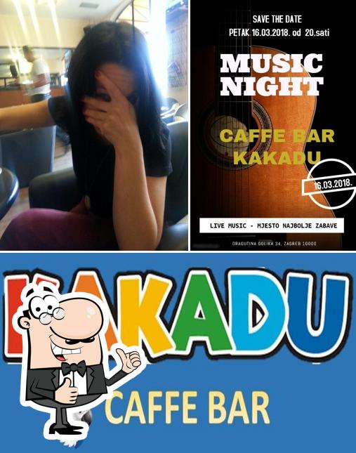 Vedi questa immagine di Kakadu