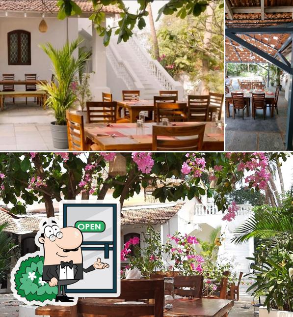 Enjoy the view at the outside area of Villa Nova - Restaurant & Pizzeria