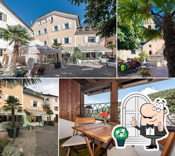 Gli esterni di Hotel Weisse Lilie - Mühlbach - B&B