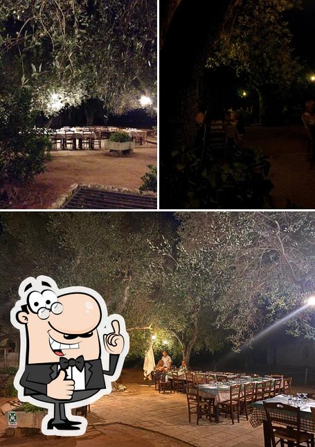 Vedi la foto di Gli Ulivi