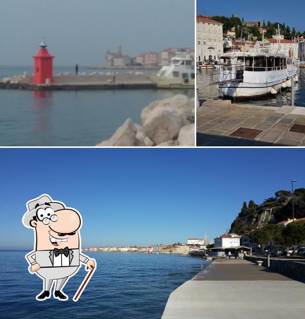 Guarda gli esterni di Ladja Podlanica Piran