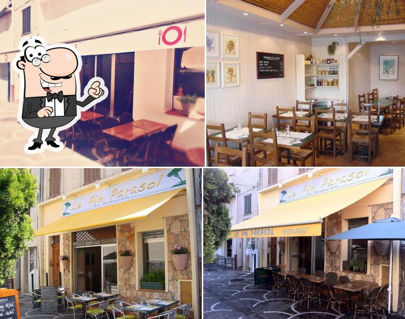 Le Pin Parasol